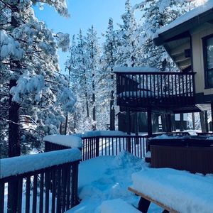 Meet your Posher, Shamlan